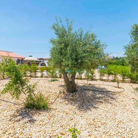 Πανσιόν Oliva Al